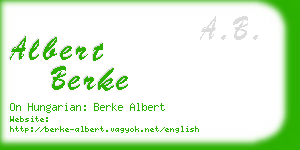albert berke business card